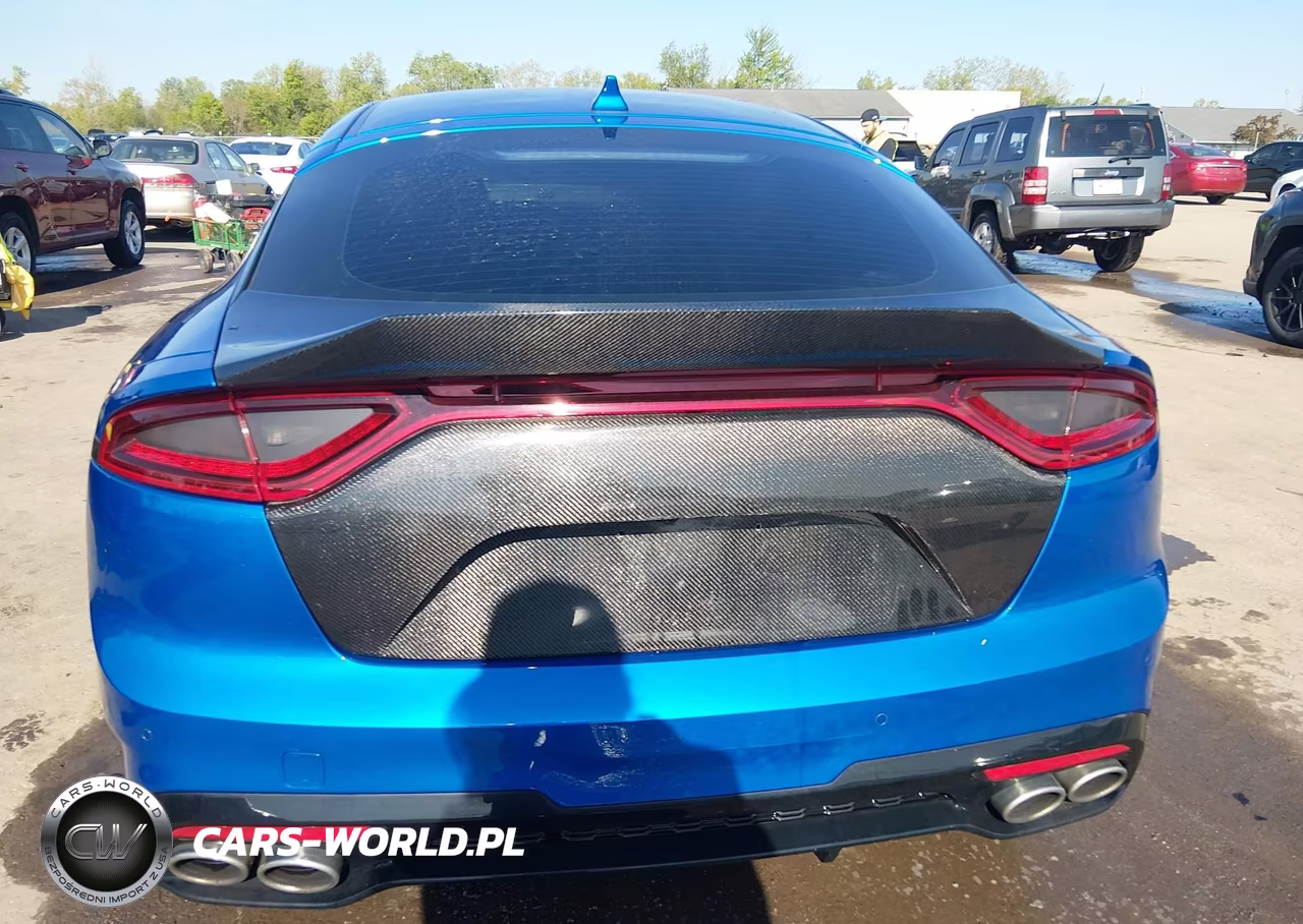 2018 Kia Stinger Gt1 VIN:KNAE45LC9J6030591 - 16