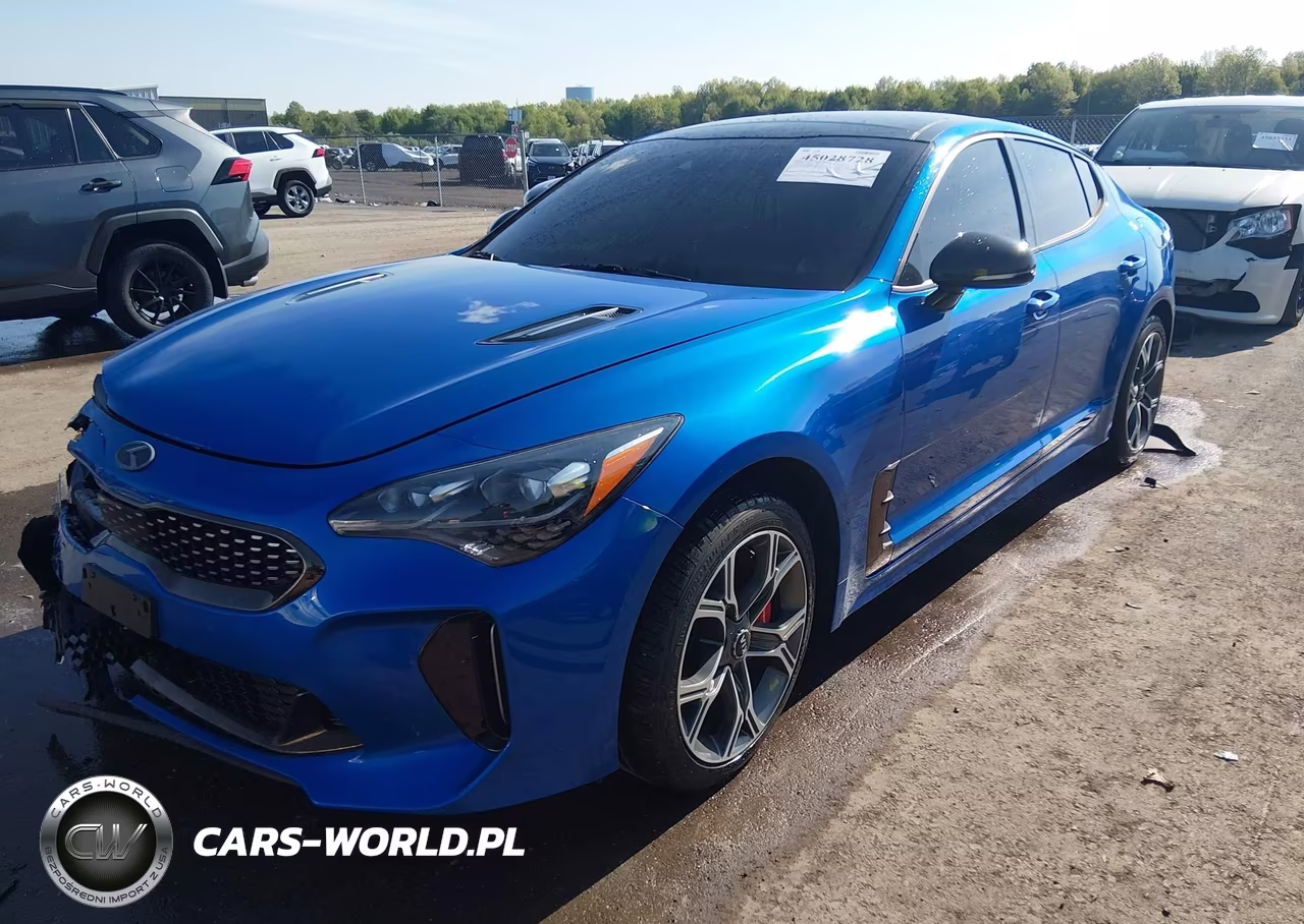 2018 Kia Stinger Gt1 VIN:KNAE45LC9J6030591 - 2