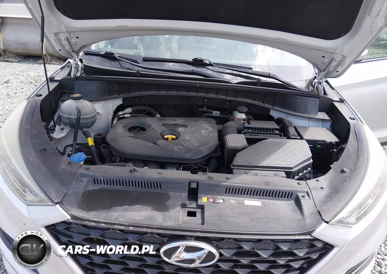 2019 Hyundai Tucson Se VIN:KM8J2CA47KU877397 - 10