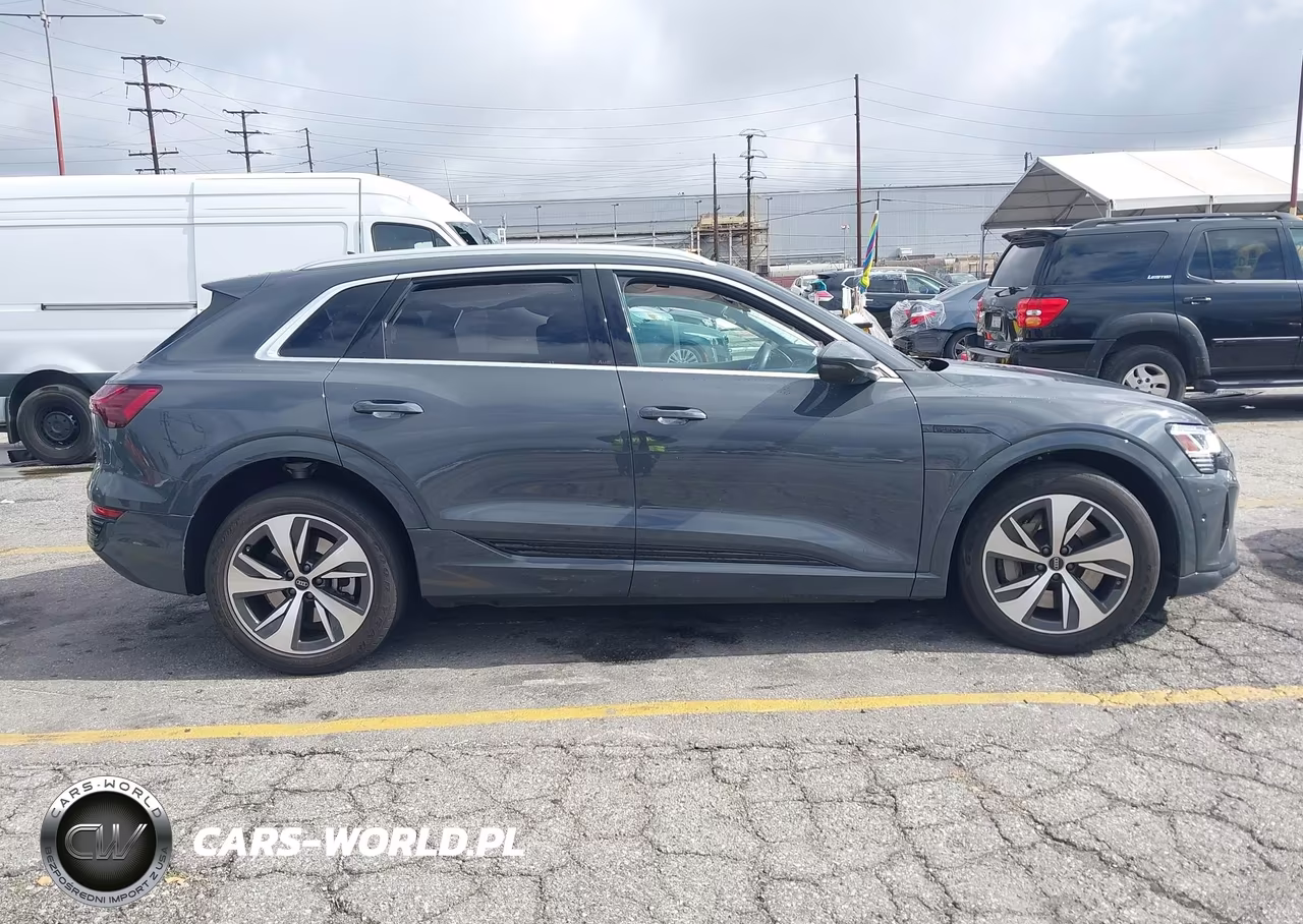 2024 Audi Q8 E-Tron Premium Plus Quattro VIN:WA15AAGE7RB040601 - 12