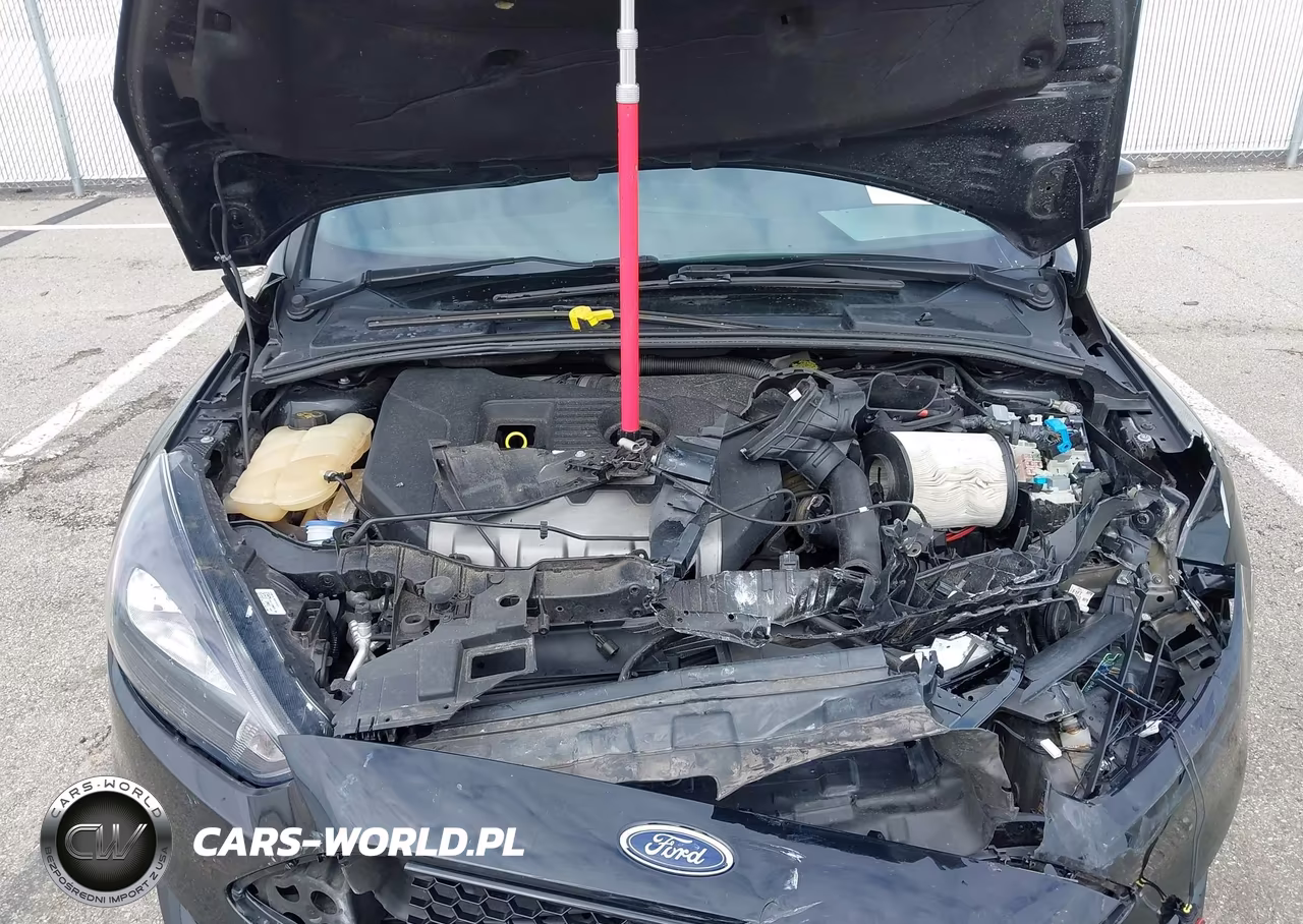 2018 Ford Focus St VIN:1FADP3L95JL332451 - 10