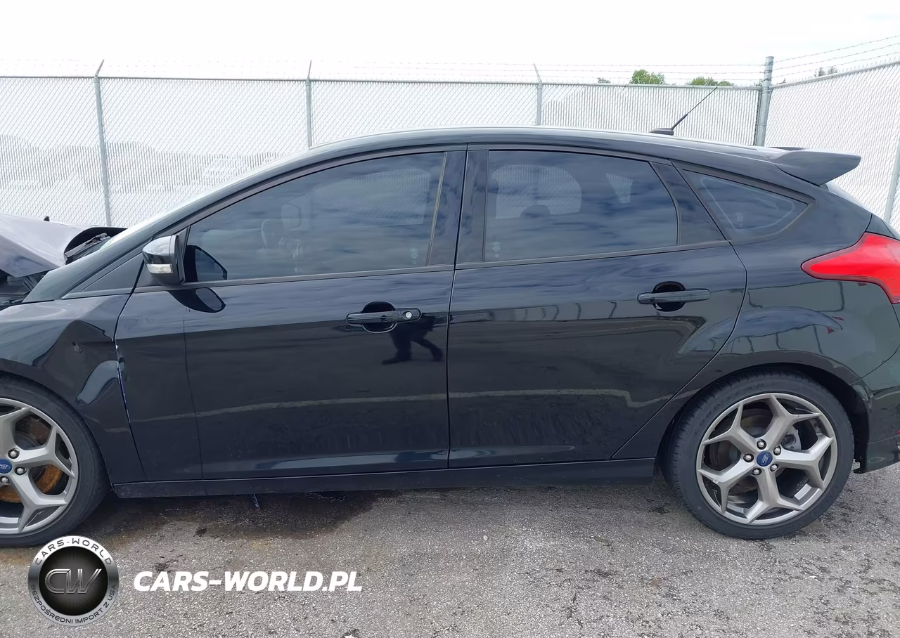 2018 Ford Focus St VIN:1FADP3L95JL332451 - 14