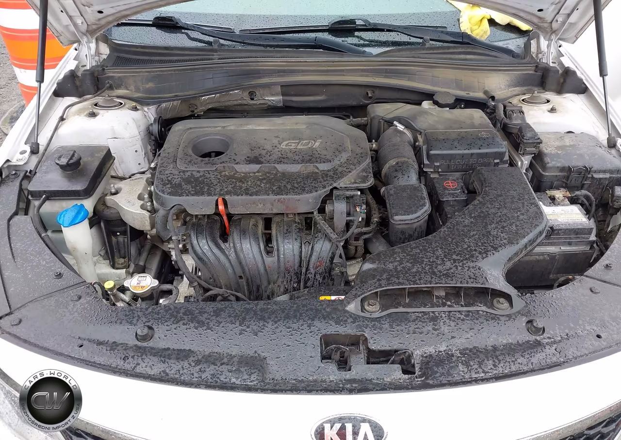 2016 Kia Optima Lx VIN:5XXGT4L34GG006699 - 10