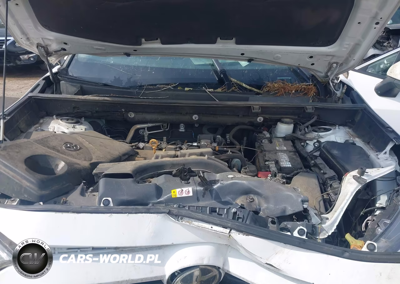 2021 Toyota Rav4 Xle VIN:2T3W1RFV7MC124364 - 10
