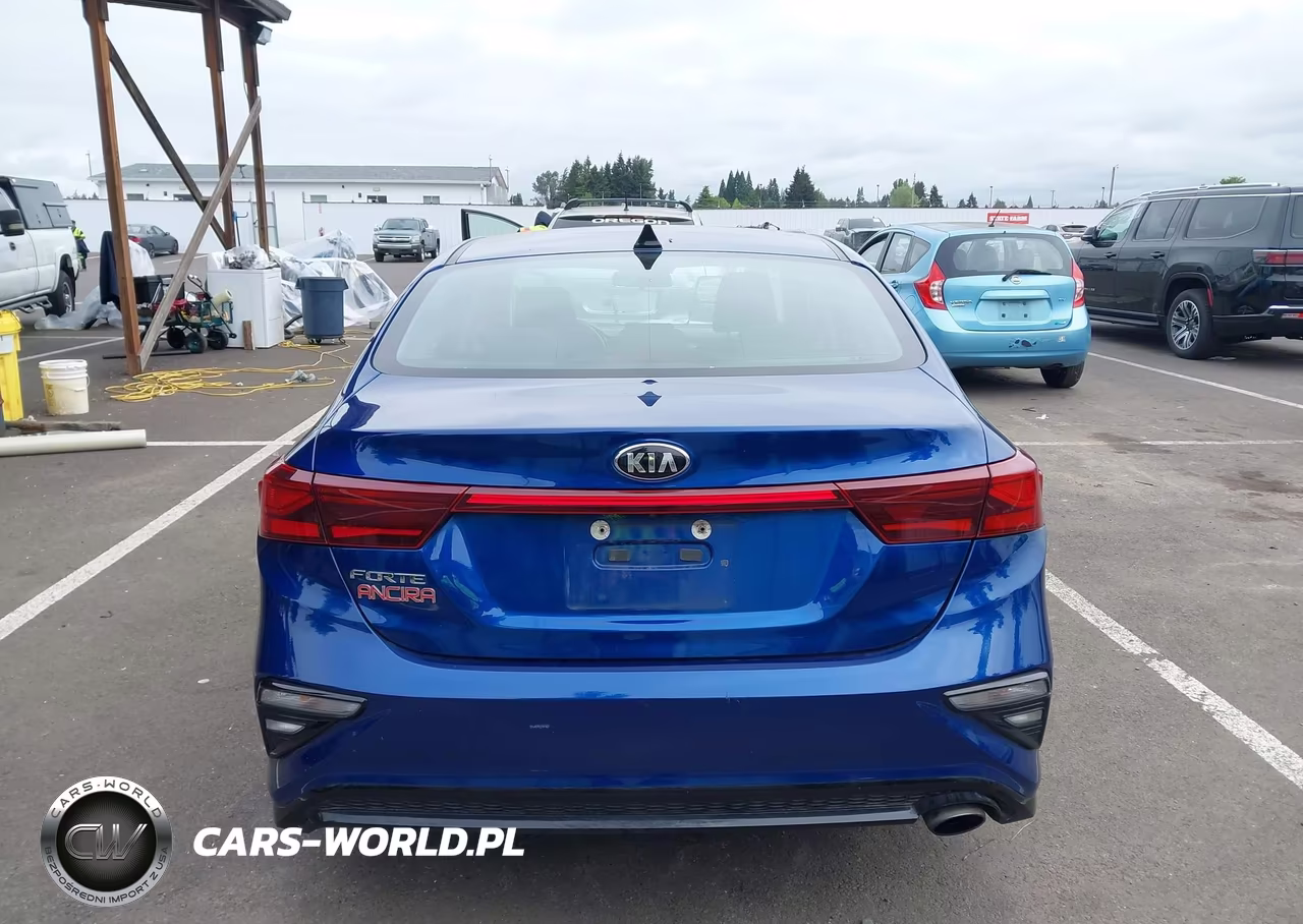 2020 Kia Forte Lxs VIN:3KPF24AD6LE258905 - 17