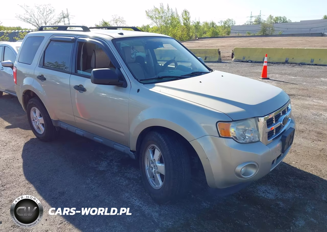 2010 Ford Escape Xlt