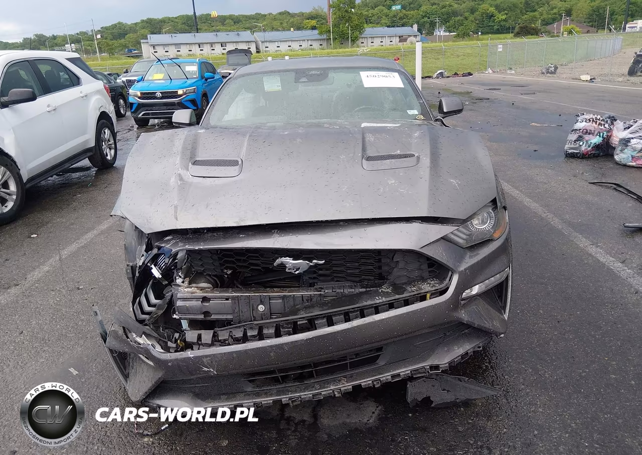 2021 Ford Mustang Ecoboost Premium Fastback VIN:1FA6P8TH8M5102196 - 12