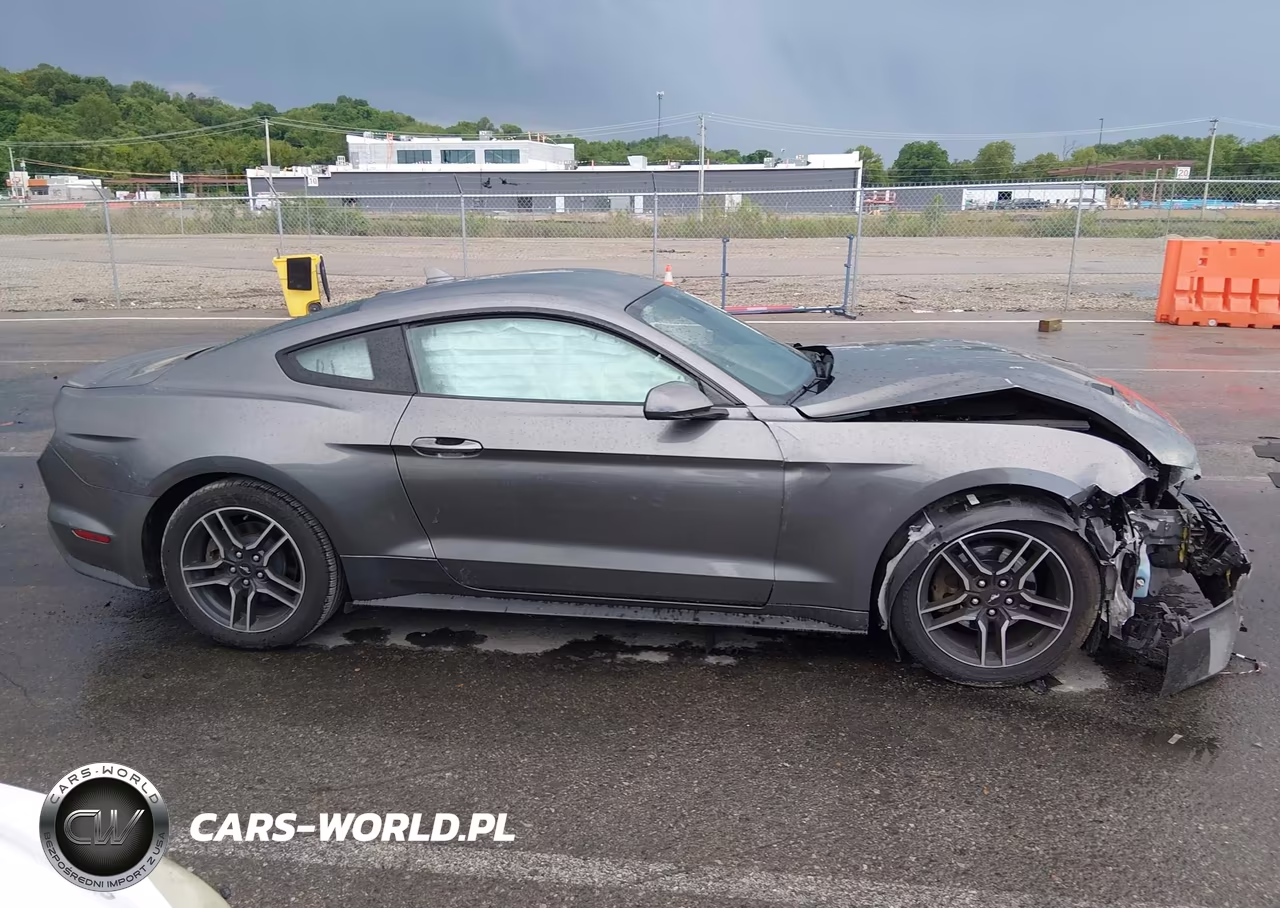 2021 Ford Mustang Ecoboost Premium Fastback VIN:1FA6P8TH8M5102196 - 13