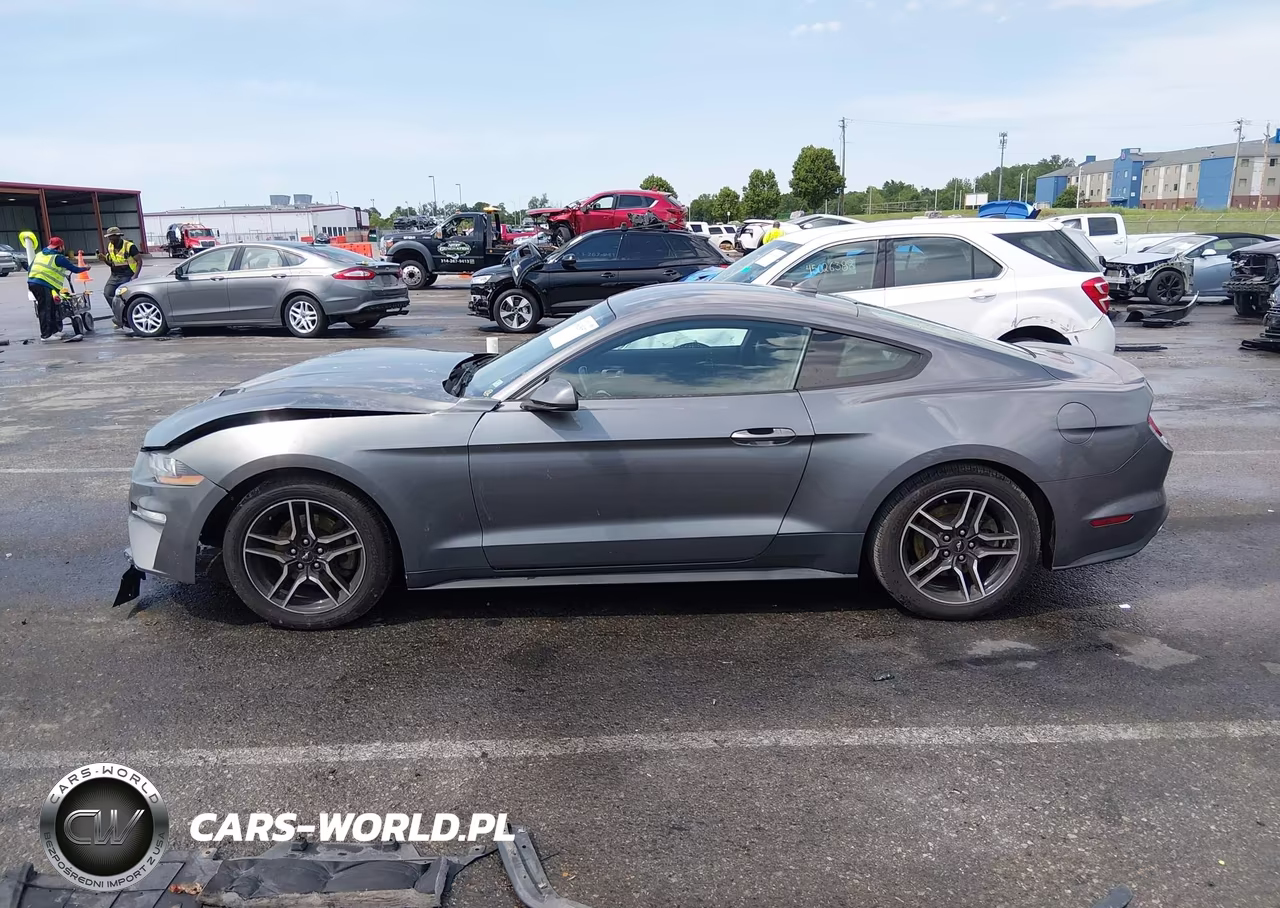 2021 Ford Mustang Ecoboost Premium Fastback VIN:1FA6P8TH8M5102196 - 14