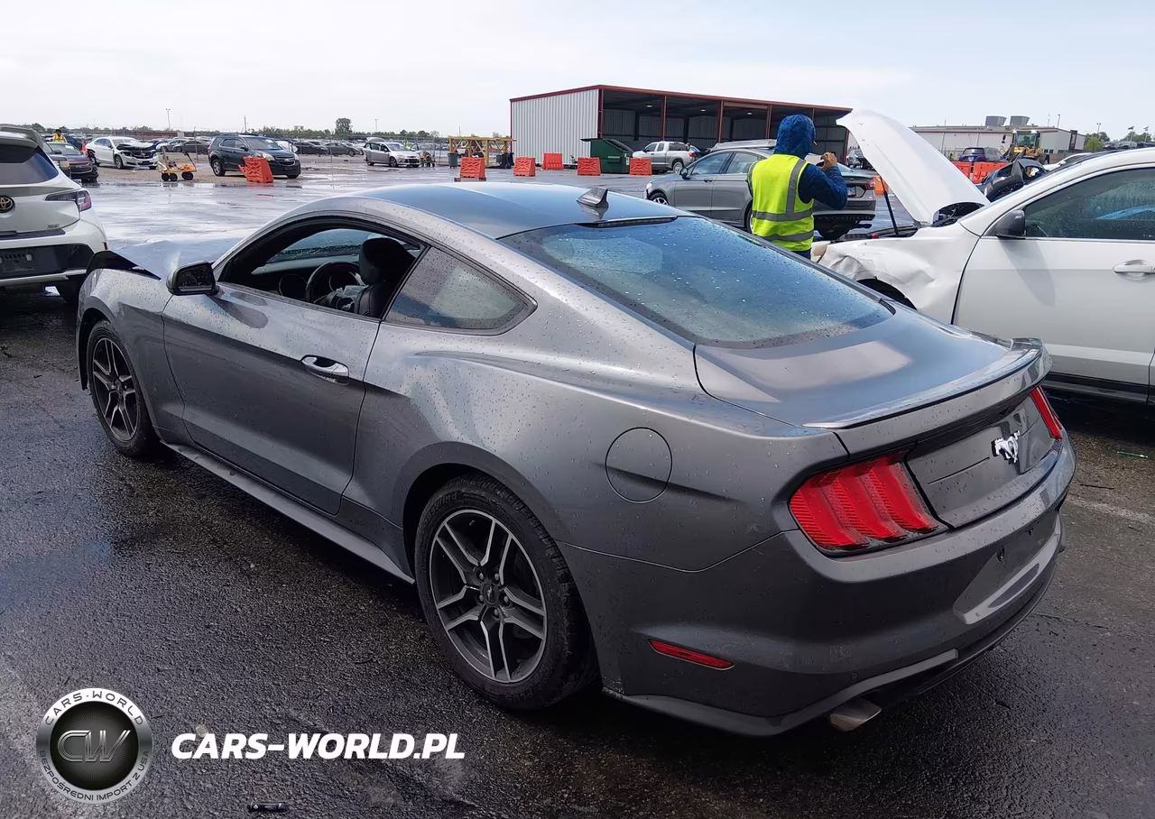 2021 Ford Mustang Ecoboost Premium Fastback VIN:1FA6P8TH8M5102196 - 3