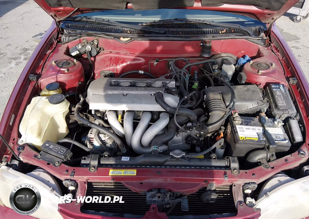 1999 Toyota Corolla Ce VIN:1NXBR12E5XZ266206 - 10