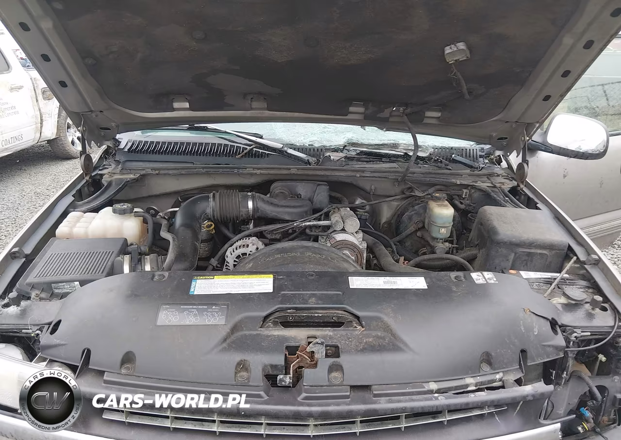1999 Chevrolet Silverado 1500 Ls VIN:1GCEC14W6XZ166658 - 10