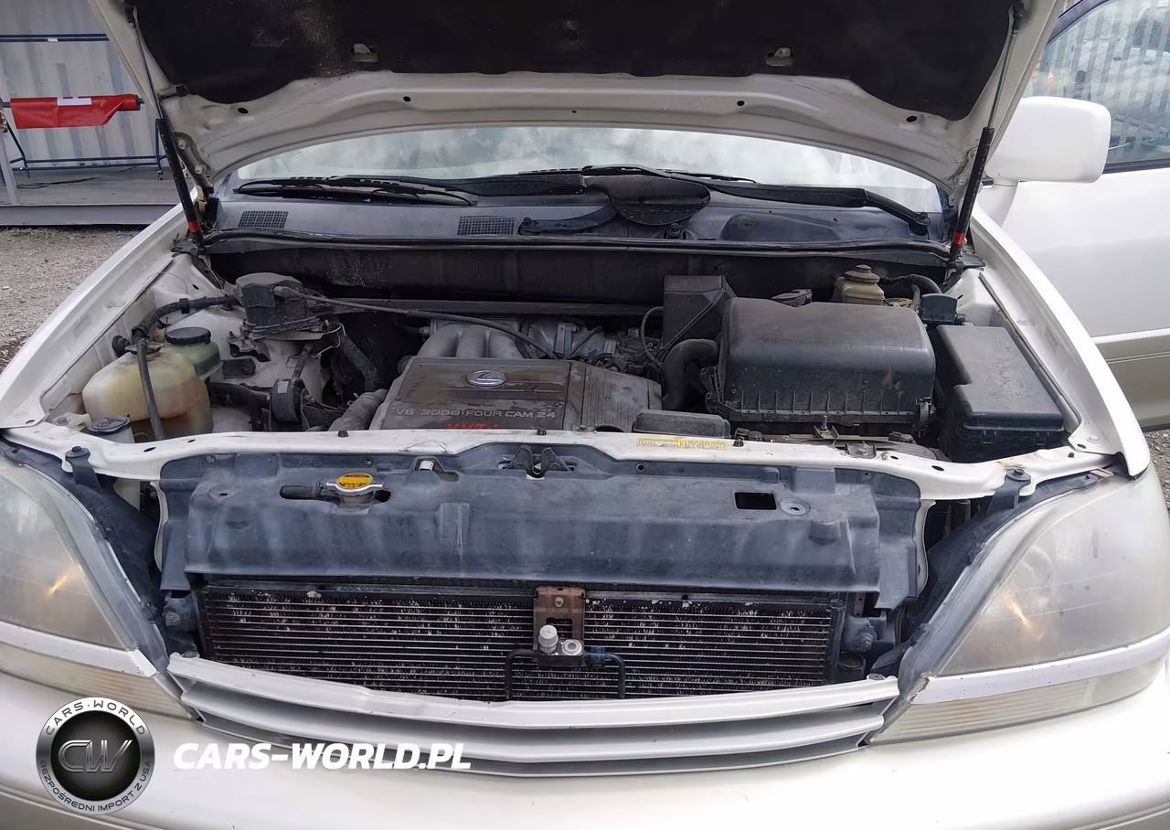 1999 Lexus Rx 300 VIN:JT6HF10U9X0017925 - 10