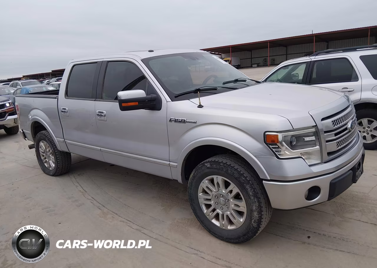 2013 Ford F-150 Platinum VIN:1FTFW1CF7DFC19121 - 13