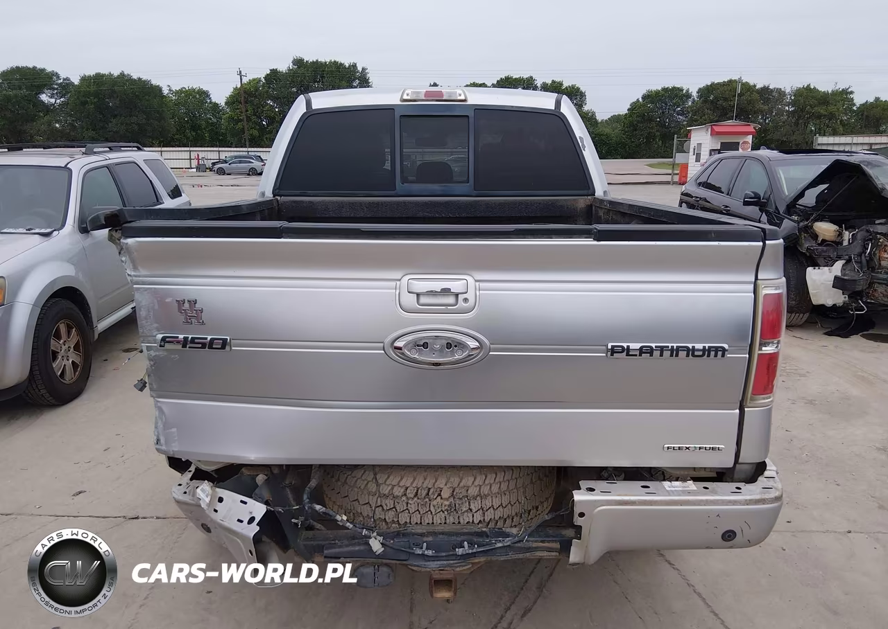 2013 Ford F-150 Platinum VIN:1FTFW1CF7DFC19121 - 16