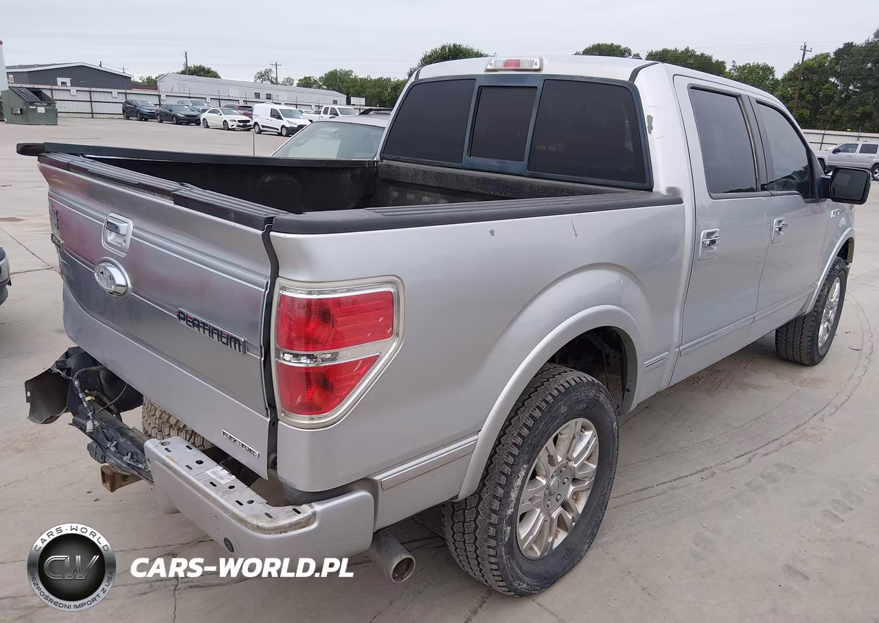 2013 Ford F-150 Platinum VIN:1FTFW1CF7DFC19121 - 4