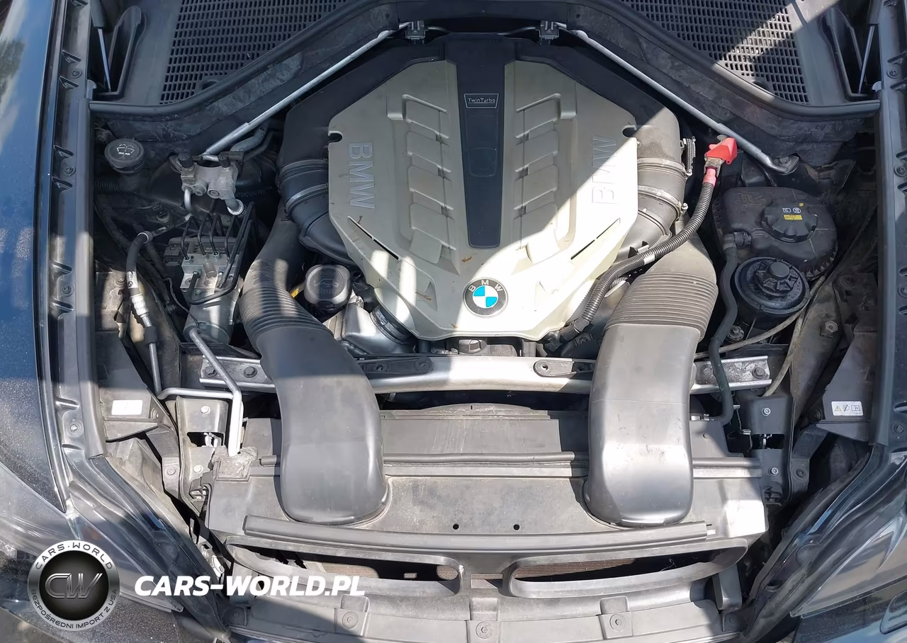 2010 BMW X6 xDrive50I VIN:5UXFG8C52ALZ94712 - 10