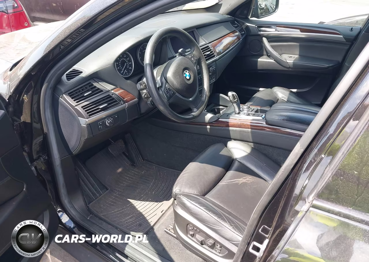 2010 BMW X6 xDrive50I VIN:5UXFG8C52ALZ94712 - 13