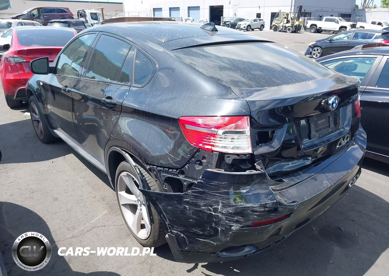 2010 BMW X6 xDrive50I VIN:5UXFG8C52ALZ94712 - 3