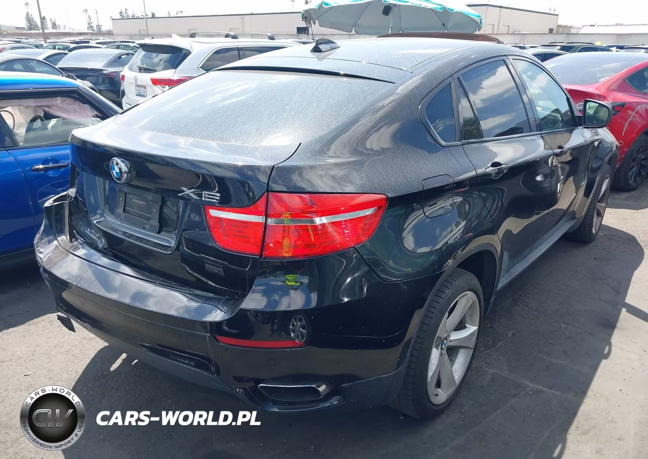 2010 BMW X6 xDrive50I VIN:5UXFG8C52ALZ94712 - 4