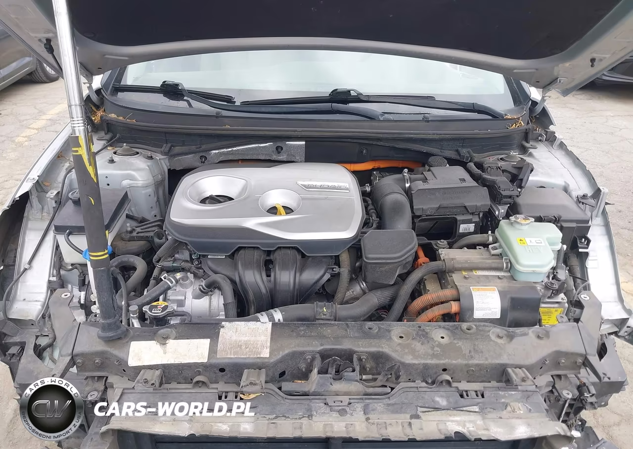 2019 Hyundai Sonata Hybrid Se VIN:KMHE24L3XKA091056 - 10