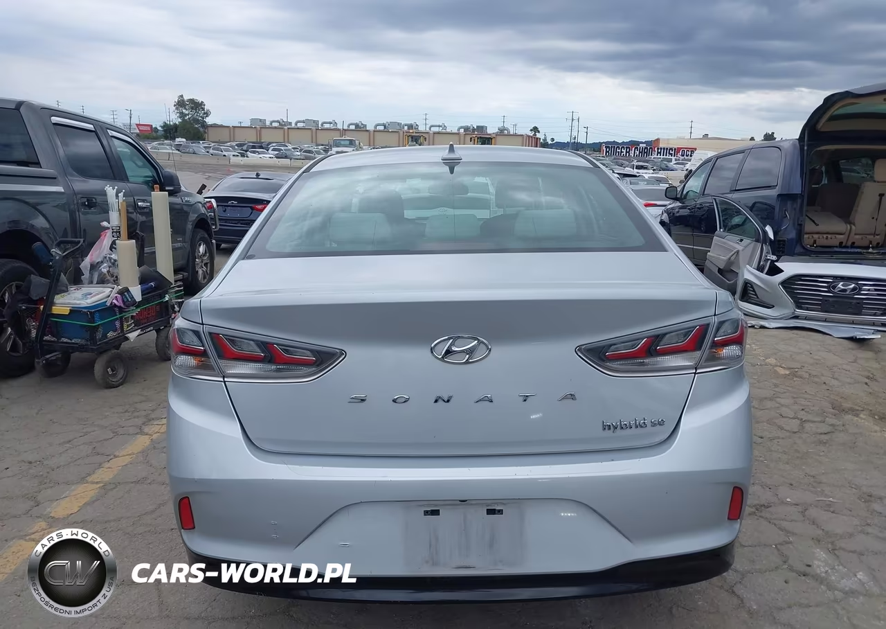 2019 Hyundai Sonata Hybrid Se VIN:KMHE24L3XKA091056 - 17