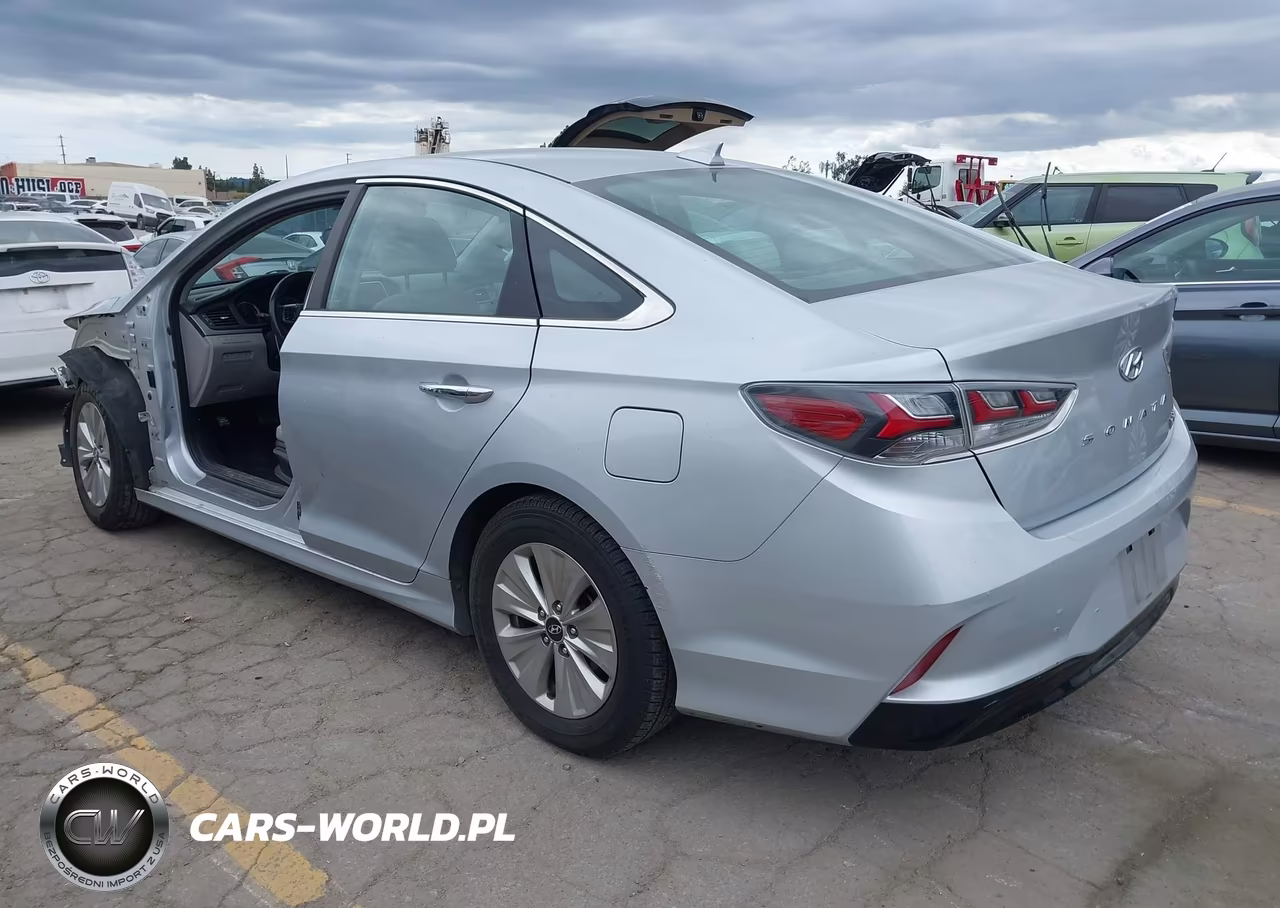 2019 Hyundai Sonata Hybrid Se VIN:KMHE24L3XKA091056 - 3