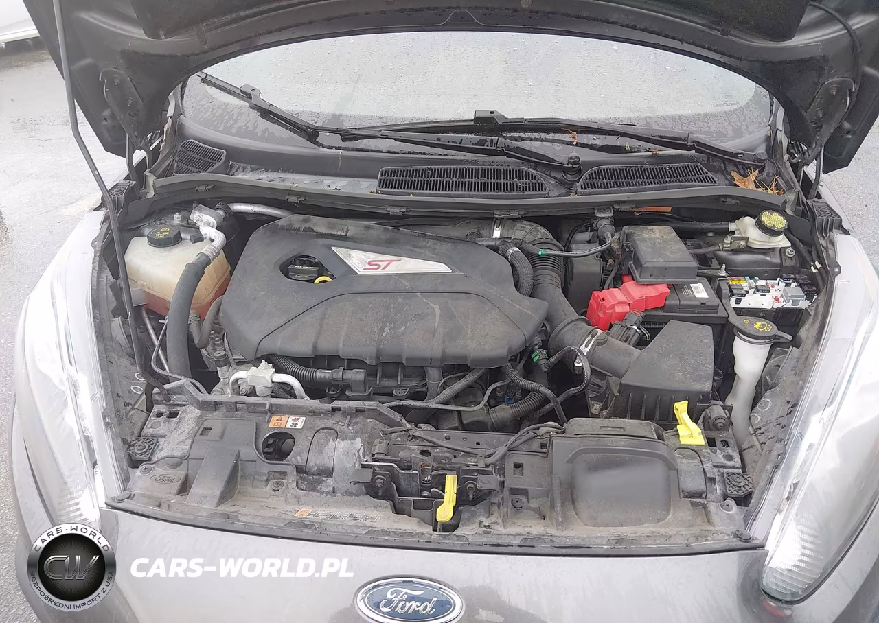 2018 Ford Fiesta St VIN:3FADP4GX1JM116772 - 10