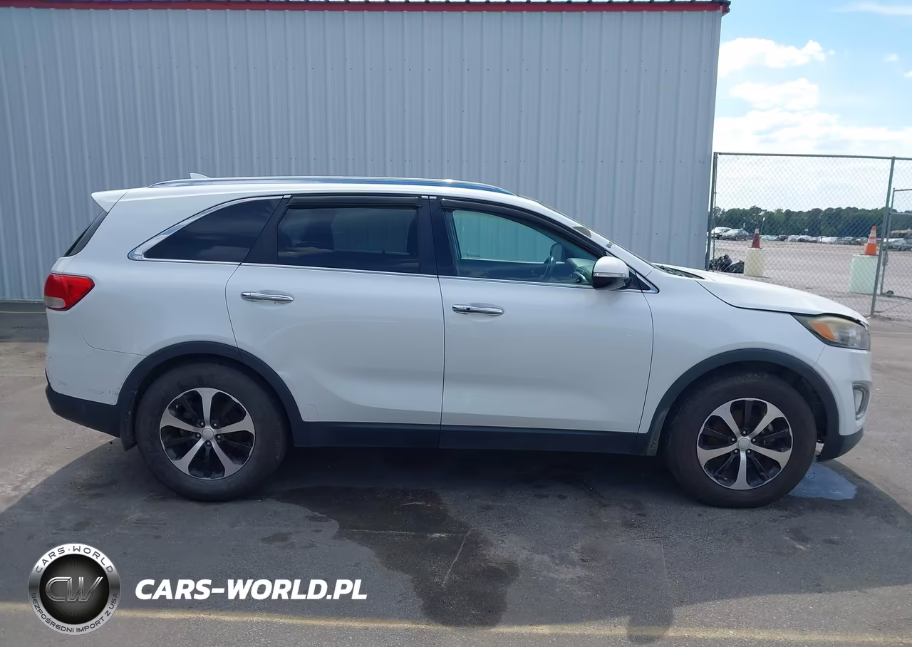 2016 Kia Sorento 3.3L Ex VIN:5XYPH4A52GG176822 - 13