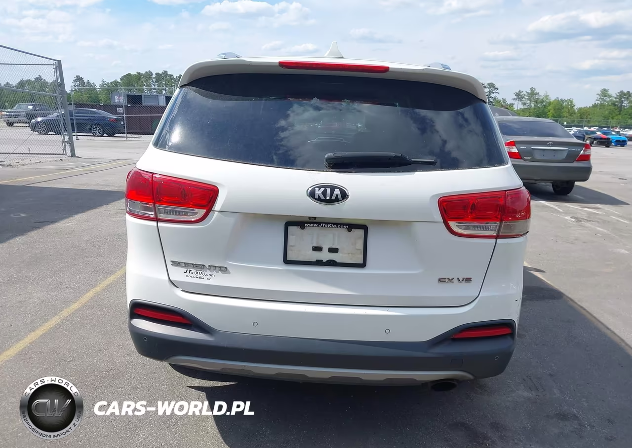 2016 Kia Sorento 3.3L Ex VIN:5XYPH4A52GG176822 - 16