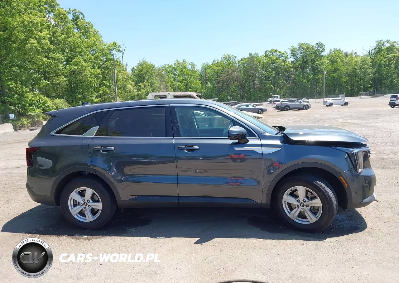 2024 Kia Sorento Lx VIN:5XYRG4JC0RG307646 - 13