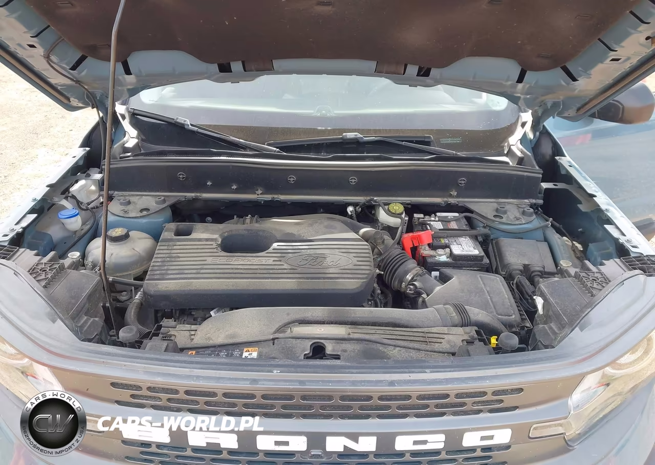 2021 Ford Bronco Sport Badlands VIN:3FMCR9D99MRA07482 - 10