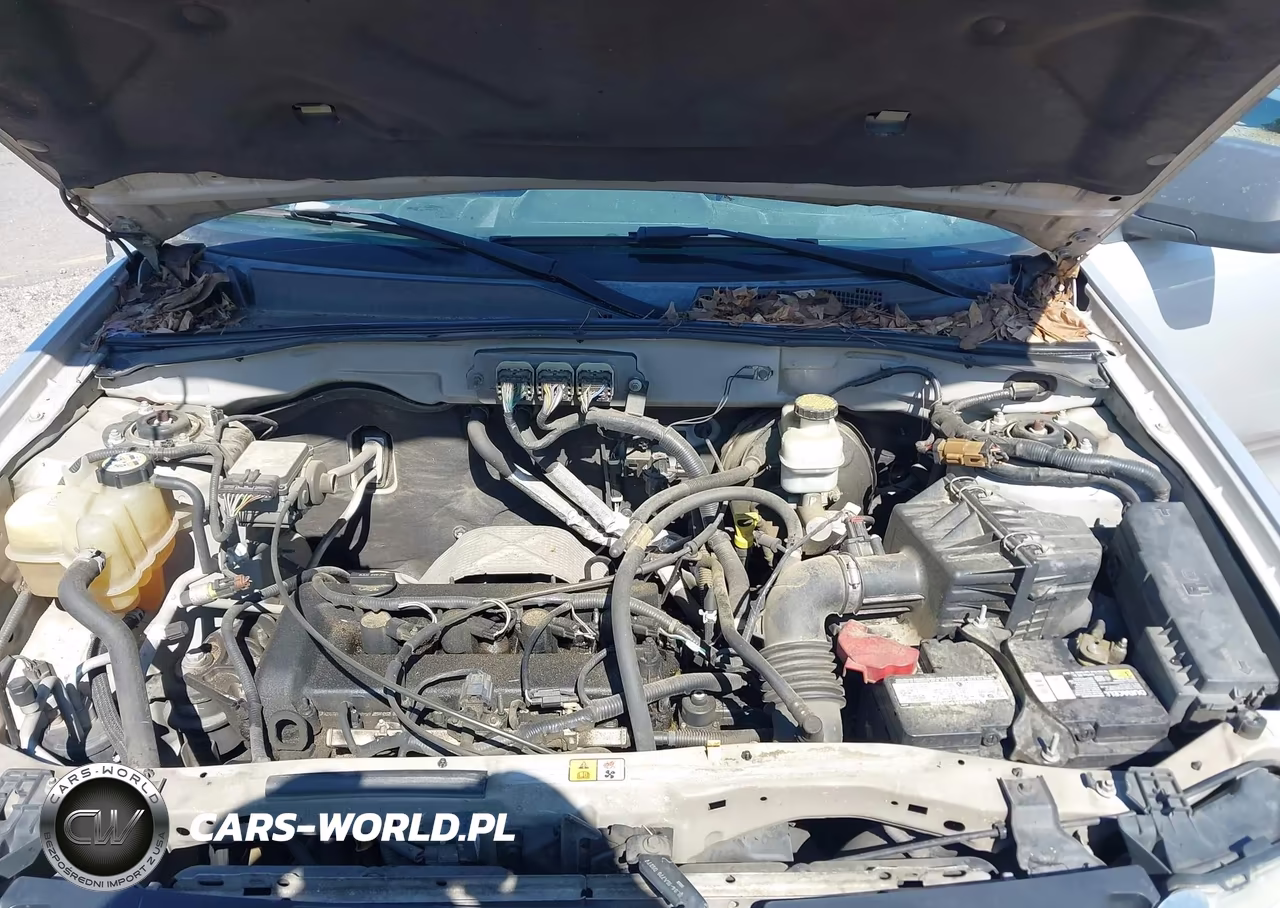2008 Ford Escape Xlt VIN:1FMCU03Z68KD29843 - 10