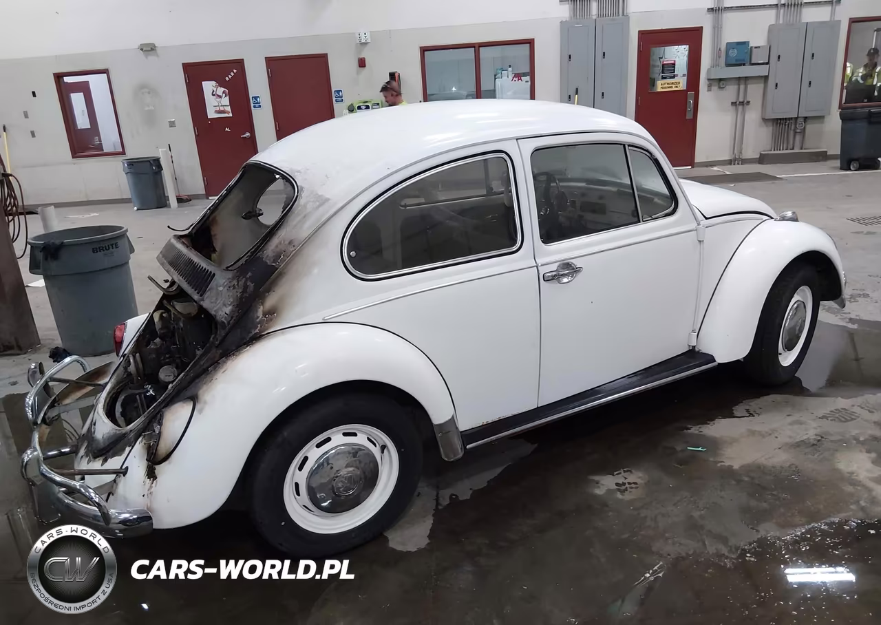 1967 Volkswagen Beetle VIN:00000000117842968 - 4