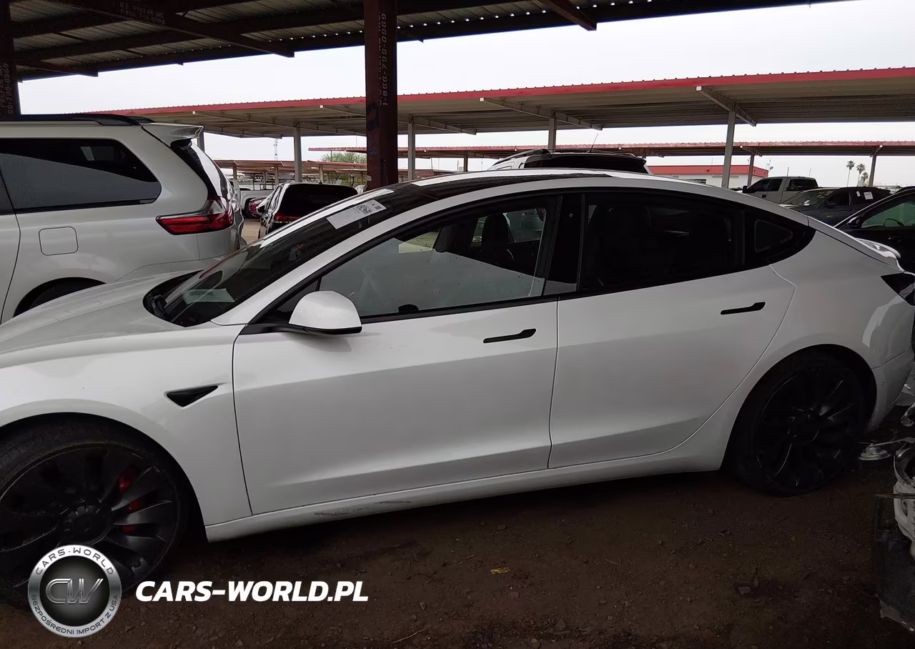 2021 Tesla Model 3 Performance Dual Motor All-Wheel Drive VIN:5YJ3E1EC8MF879360 - 13