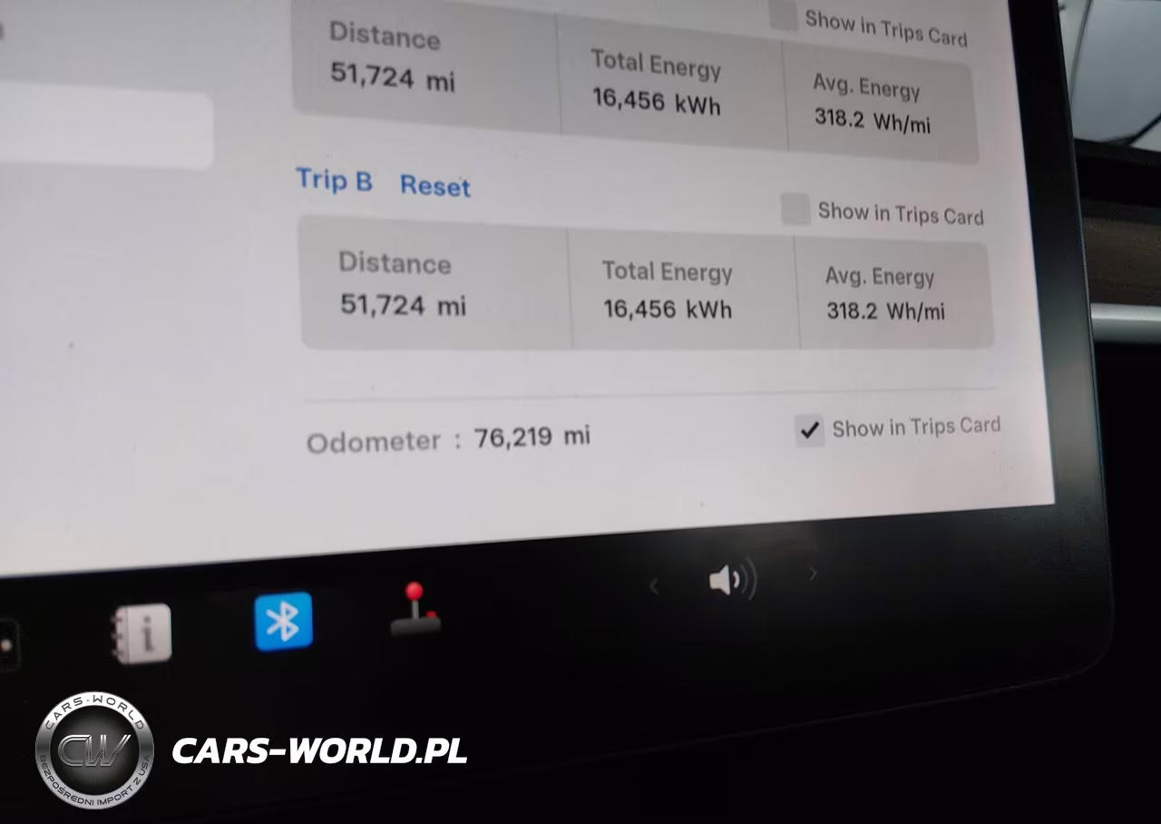 2021 Tesla Model 3 Performance Dual Motor All-Wheel Drive VIN:5YJ3E1EC8MF879360 - 14