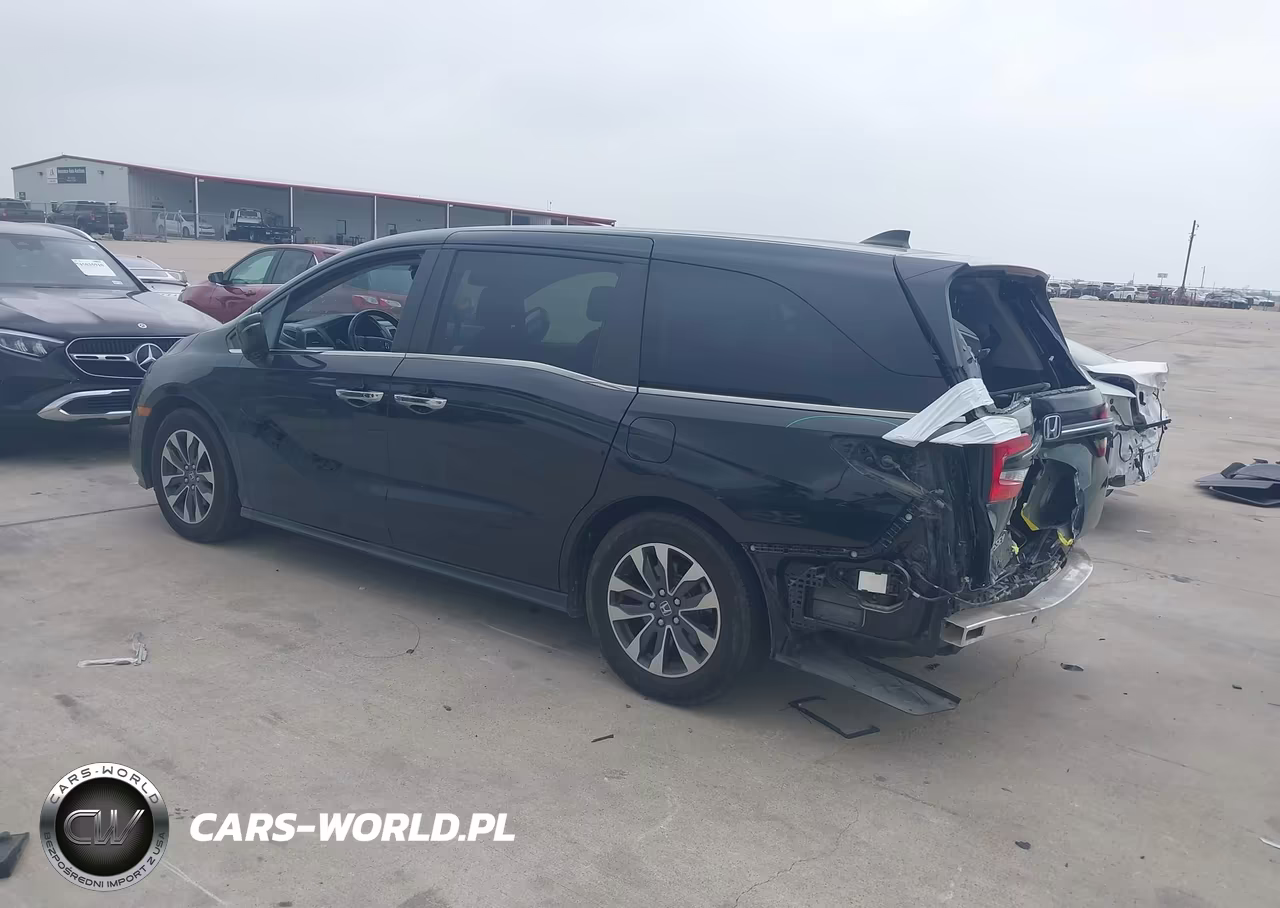 2024 Honda Odyssey Ex-L VIN:5FNRL6H65RB049056 - 3