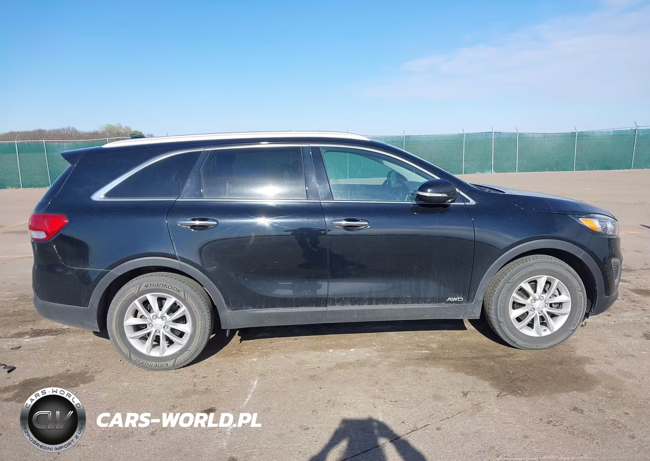 2016 Kia Sorento 2.4L Lx VIN:5XYPGDA32GG095966 - 13