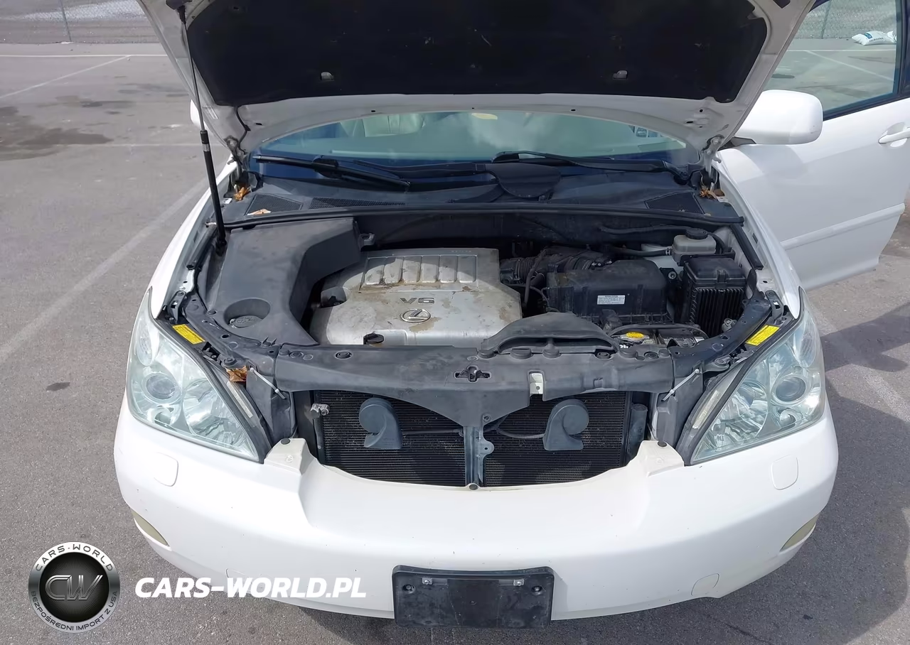 2007 Lexus Rx 350 VIN:JTJHK31U372016849 - 10