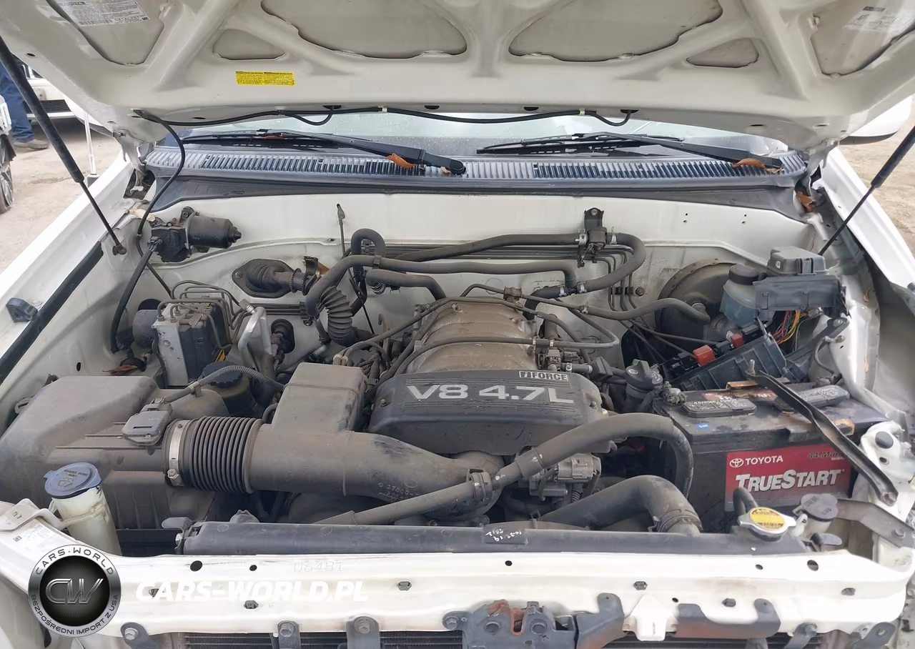 2002 Toyota Sequoia Sr5 V8 VIN:5TDZT34A82S097984 - 10
