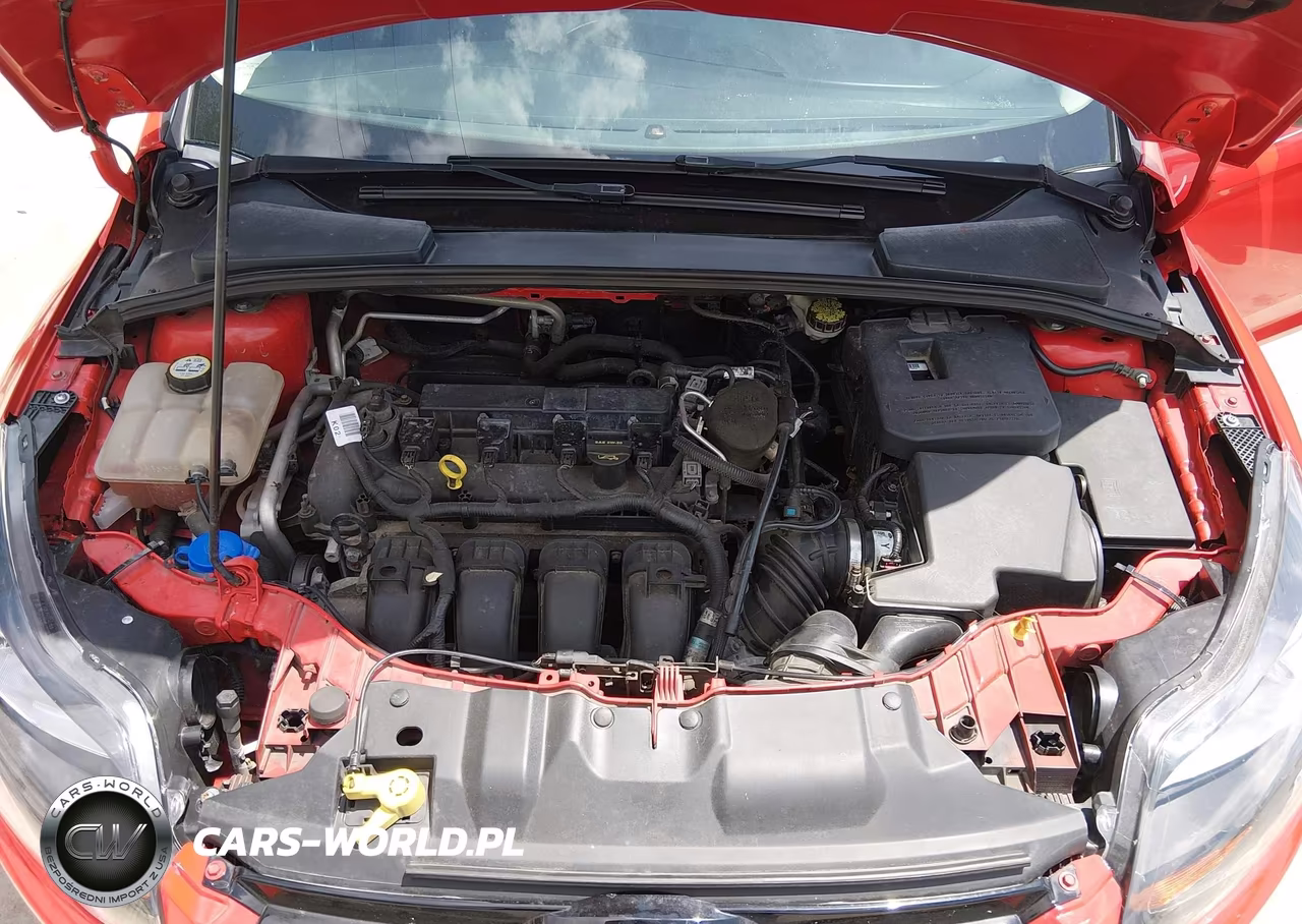 2012 Ford Focus Sel VIN:1FAHP3H20CL172866 - 10