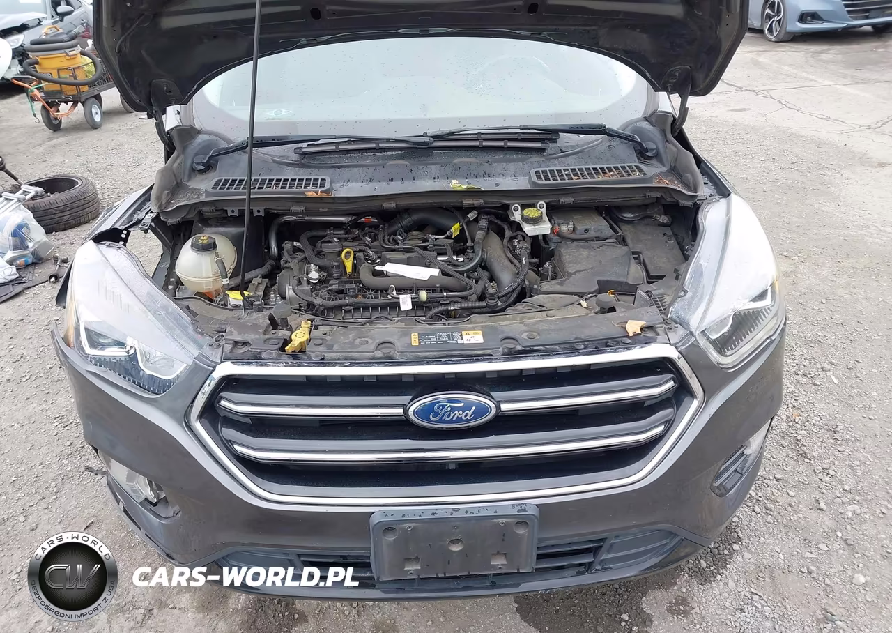 2019 Ford Escape Se VIN:1FMCU0GDXKUA36344 - 10