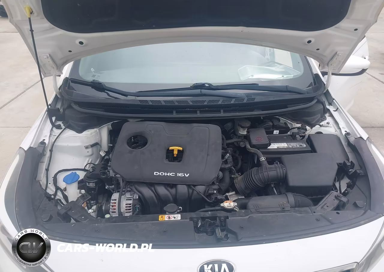 2018 Kia Forte Lx VIN:3KPFL4A79JE212828 - 10