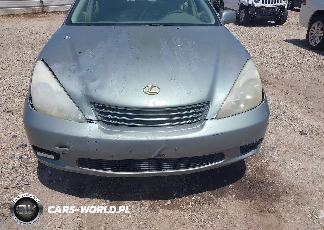 2003 Lexus Es 300 VIN:JTHBF30G830118564 - 6