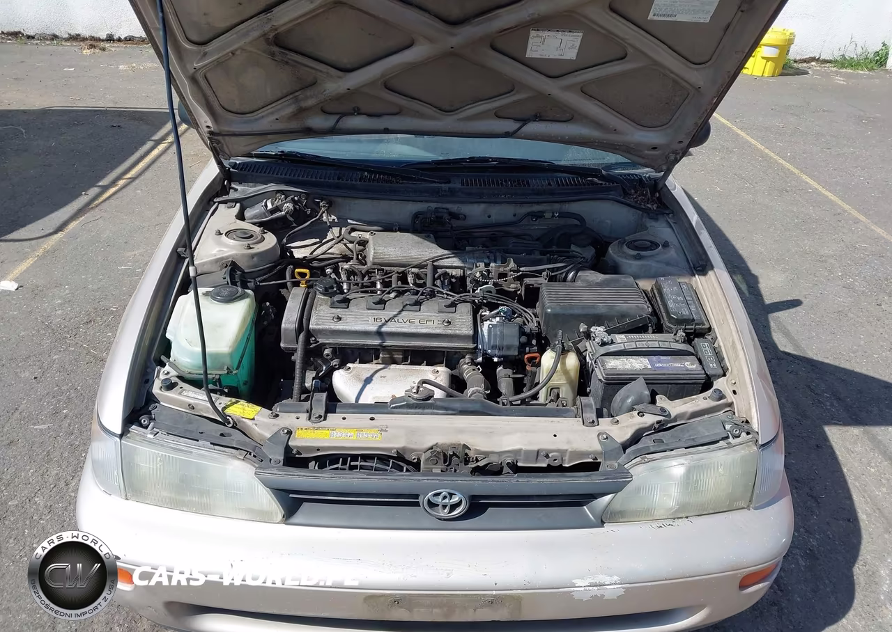 1994 Toyota Corolla Le-Dx VIN:JT2AE09B5R0071632 - 10