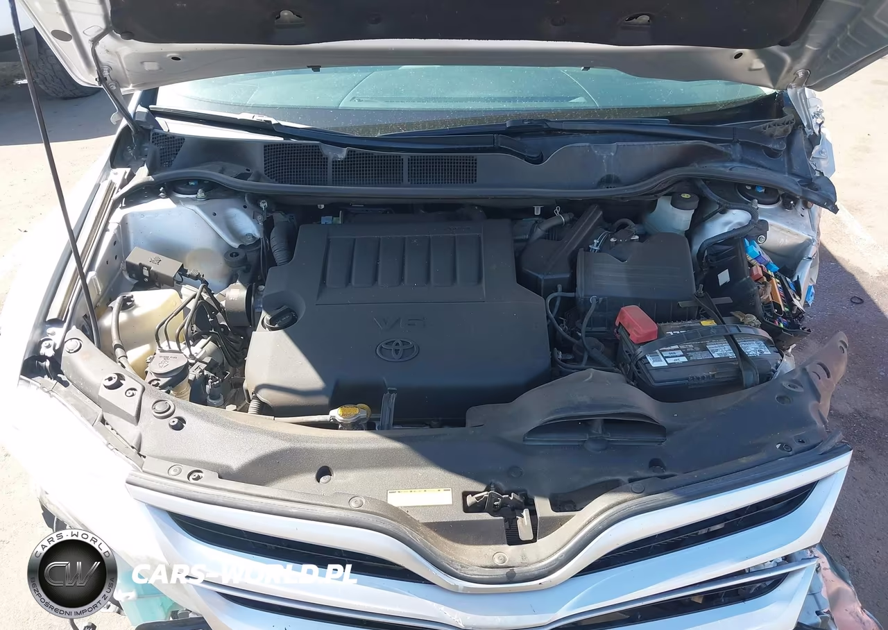 2014 Toyota Venza Le V6 VIN:4T3ZK3BB9EU069810 - 10