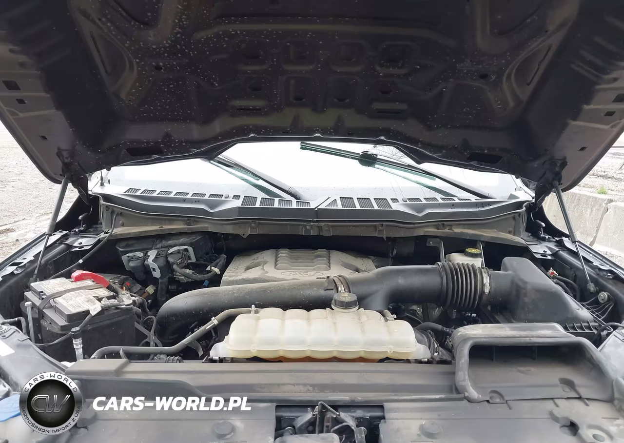 2021 Ford F-150 Xl VIN:1FTFW1E80MFB13026 - 10