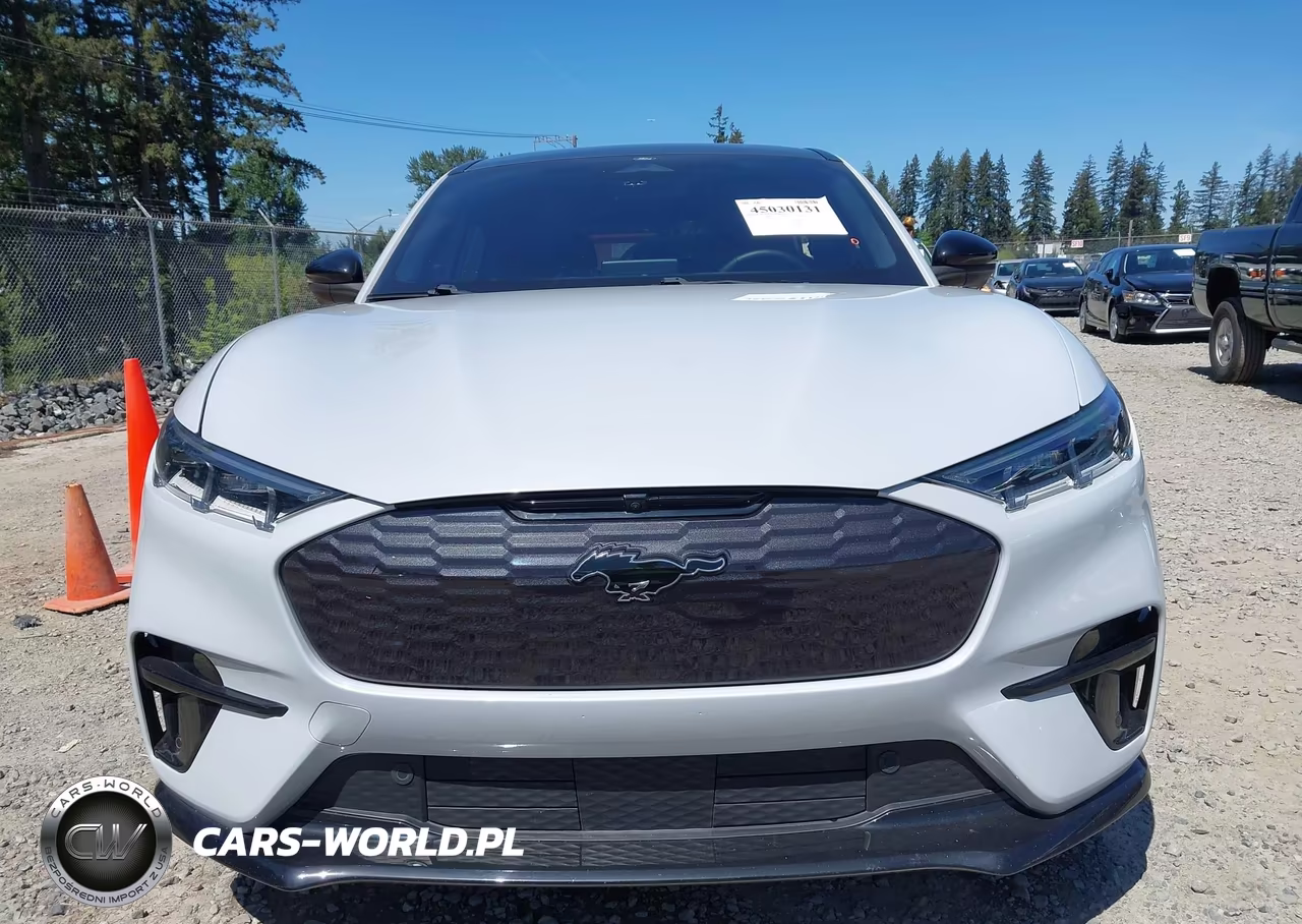 2021 Ford Mustang Mach-E Gt VIN:3FMTK4SX0MME00048 - 12