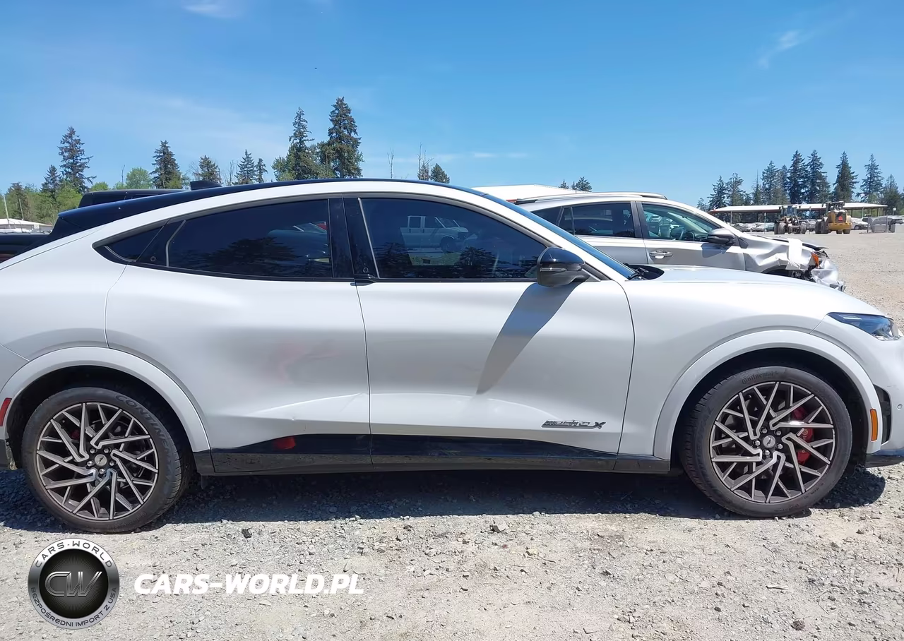 2021 Ford Mustang Mach-E Gt VIN:3FMTK4SX0MME00048 - 13