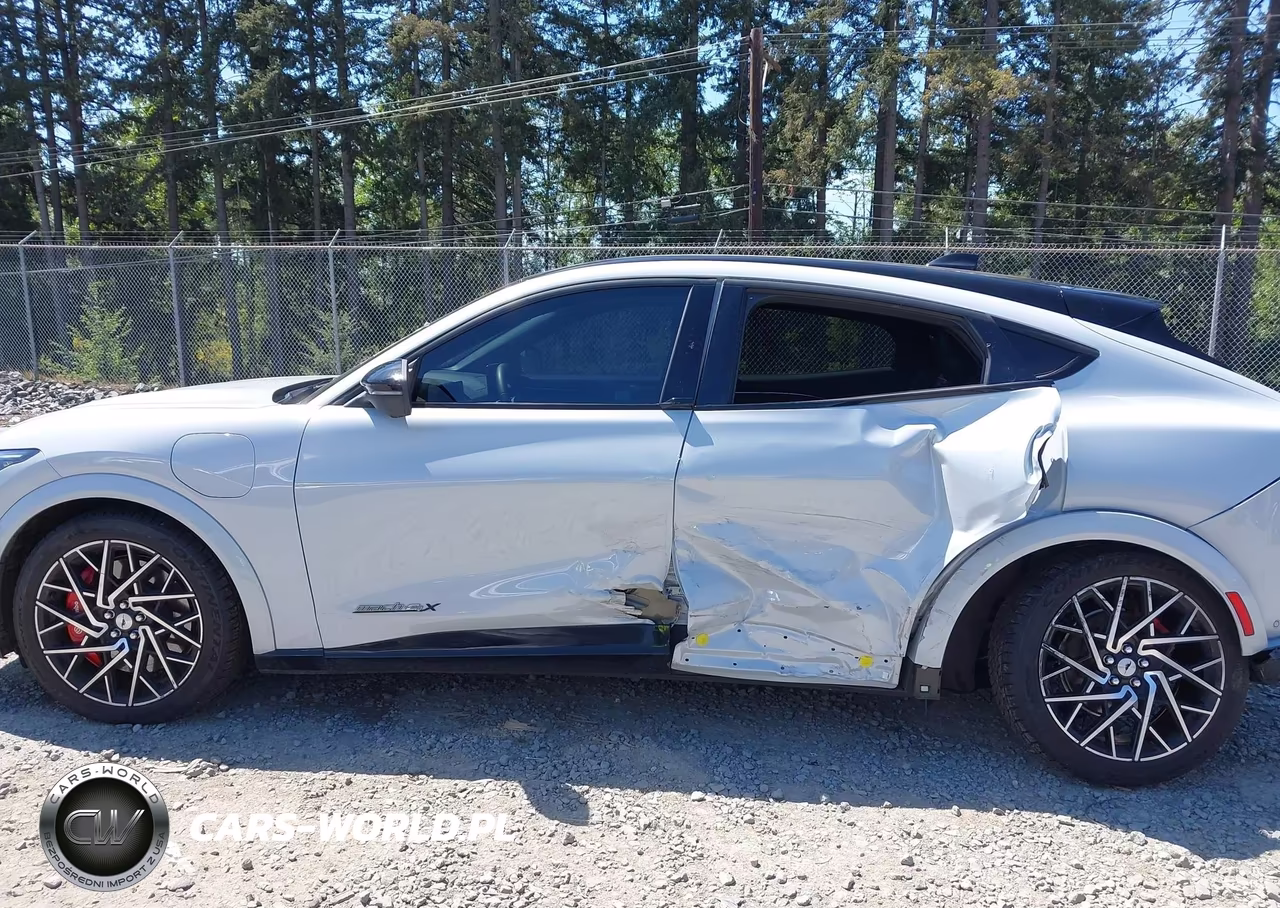 2021 Ford Mustang Mach-E Gt VIN:3FMTK4SX0MME00048 - 14